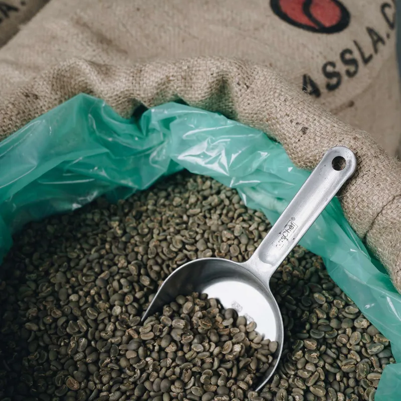 Siberteng washed arabica coffee