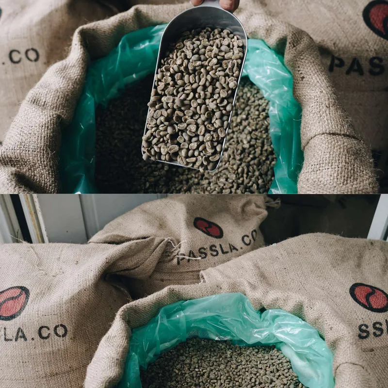 Sumatran Collective